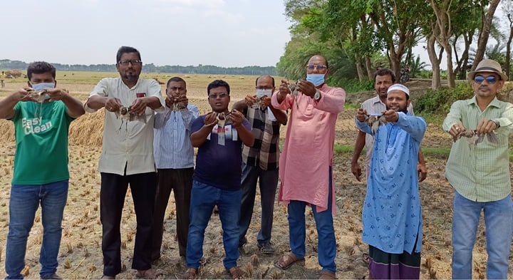 ঝিনাইদহে চোরা শিকারীদের হাত থেকে উদ্ধার হওয়া পাখি অবমুক্ত