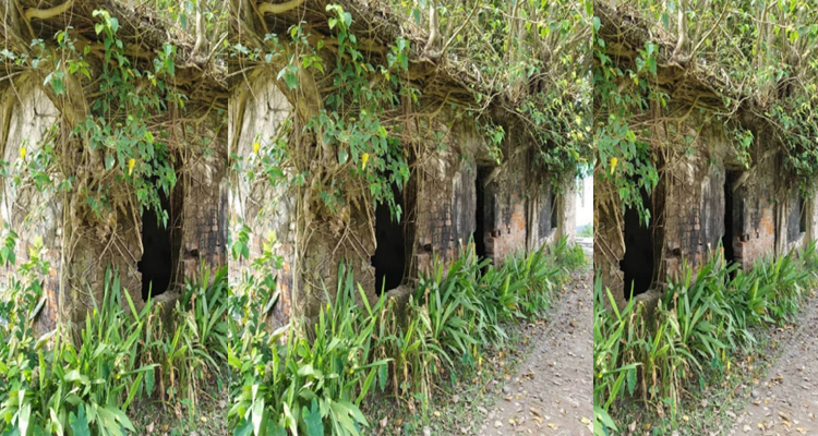 গলাচিপায় তিন যুগেরও বেশী অন্ধকারে “বীজাগার