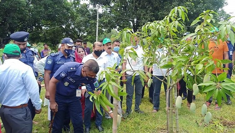 সাপাহারে আমচাষী ও বিপননকারীদের সাথে মতবিনিময় এবং আম সংগ্রহের শুভ উদ্বোধন
