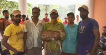 পাথরঘাটায় সংরক্ষিত বন থেকে হরিণ উদ্ধার, আ’টক ২