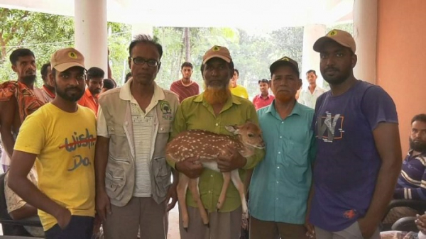 পাথরঘাটায় সংরক্ষিত বন থেকে হরিণ উদ্ধার, আ’টক ২