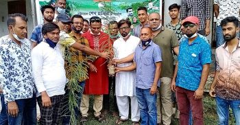 কলাপাড়ায় গাছের চারা রোপন ও বিতারন করেছে যুবলীগ