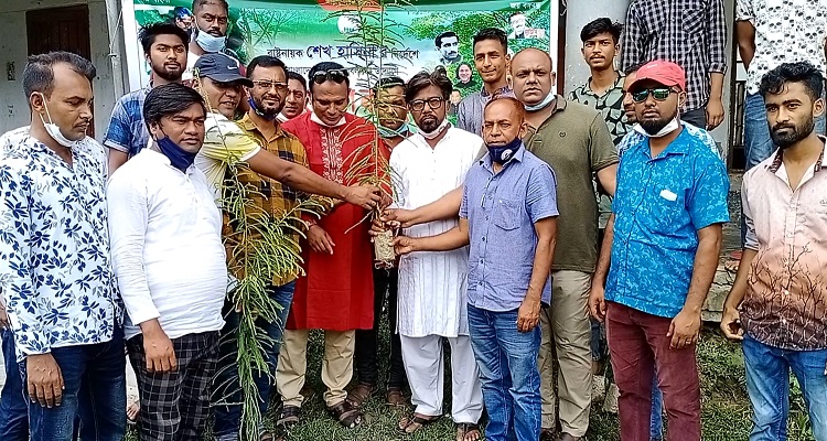 কলাপাড়ায় গাছের চারা রোপন ও বিতারন করেছে যুবলীগ