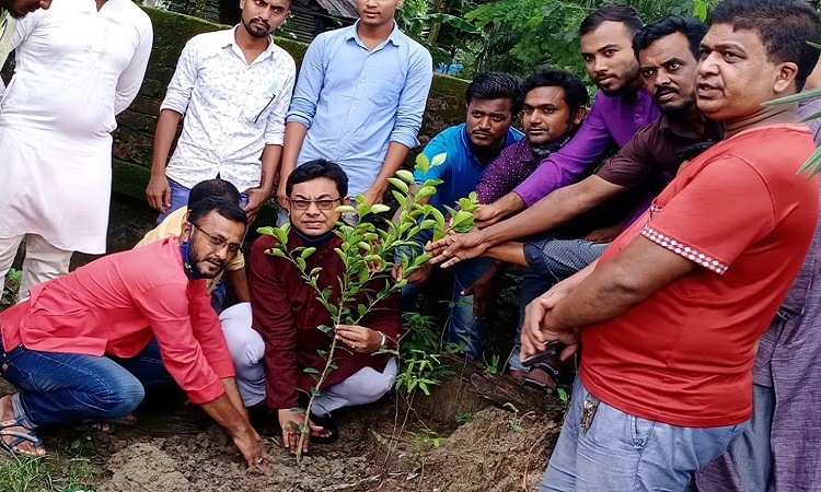 কলাপাড়ায় যুবলীগের বৃক্ষরোপণ