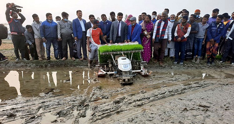 কৃষিতে প্রযুক্তি ব্যবহারে সফলতা পেয়েছে কৃষকরা