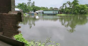 নওগাঁয় প্রভাবশালীর পুকুরে বিলিনের পথে গরীব অসহায় মহিলার বসতবাড়ী