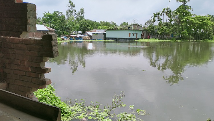 নওগাঁয় প্রভাবশালীর পুকুরে বিলিনের পথে গরীব অসহায় মহিলার বসতবাড়ী