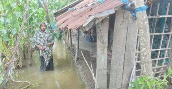 পানি নিষ্কাশনের বাঁধা মৎস্যঘের: দু’দিনের বৃষ্টিতে সাতক্ষীরা শহরে জলাবদ্ধতা