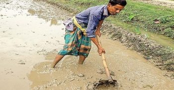 ঝিনাইদহে বৃষ্টির পানিই কৃষকের এখন শেষ ভরসা!