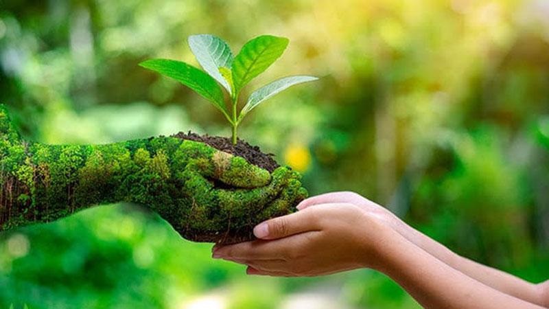 আজ ৫ জুন, শনিবার; বিশ্ব পরিবেশ দিবস