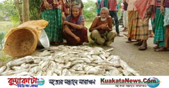 মাছের সাথে শত্রুতা বিষ প্রয়োগে করে ১০ লক্ষ টাকার মাছ নিধন