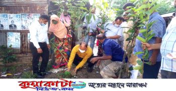 সোনারগাঁয়ের জামপুরে চেয়ারম্যান শিপলুর বৃক্ষরোপণ কর্মসূচি পালন