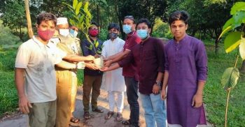 জাবি প্রেসক্লাবের বৃক্ষরোপণ কর্মসূচি