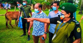 সাপাহারে স্বাস্থ্যবিধি নিশ্চিত করতে পৃথক স্থানে গরু-ছাগলের হাট