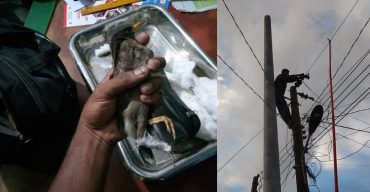 ৯৯৯-এ ফোন পুলিশ বাঁচালো শালিকের প্রাণ