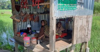 ভিক্ষা থেকে বেড়িয়ে মুদি ও চায়ের দোকান স্বাবলম্বী দশমিনায় হাসিনা বেগম