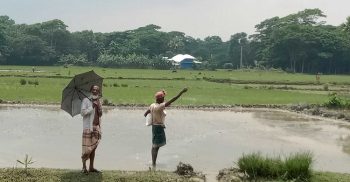দশমিনায় বীজতলা তৈরিতে ব্যস্ত কৃষক