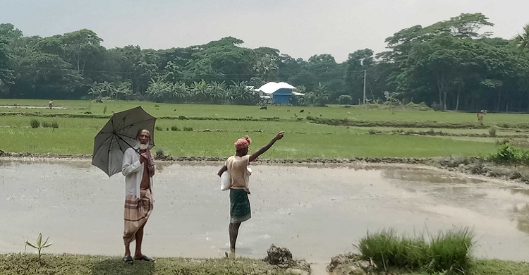 দশমিনায় বীজতলা তৈরিতে ব্যস্ত কৃষক