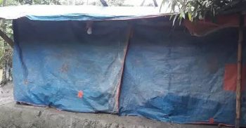 গলাচিপায় প্রধানমন্ত্রীর ঘর পাওয়ার আকুতি সাজেদা বেগমের