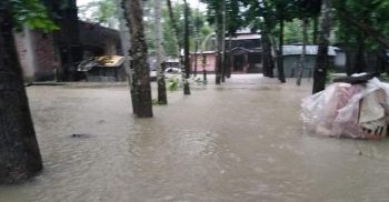 গলাচিপায় টানা বর্ষণে তলিয়ে গেছে নিম্নাঞ্চল ও রাস্তাঘাট