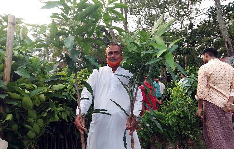 পটুয়াখালীর কলাপাড়ায় হাট বসেছে চারা গাছের। বিক্রি হচ্ছে বিভিন্ন প্রজাতির গাছের চারা। 