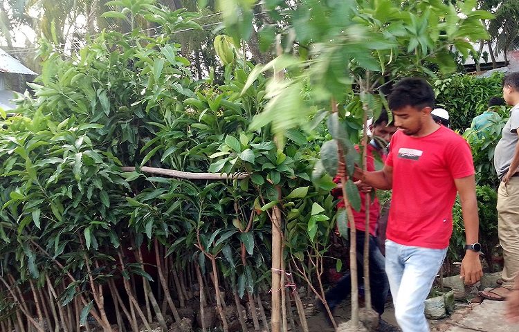 সবুজ বিপ্লবে নেমে পরেছে উপকূলের মানুষ।
