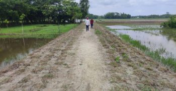 গলাচিপায় উন্নত হচ্ছে গ্রামীণ সড়ক বাস্তবায়নে সিআরআরআইপি প্রকল্প