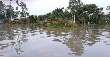 সিরাজগঞ্জে যমুনা নদীর পানি আবারও বাড়ছে, বন্দি হাজারো মানুষ