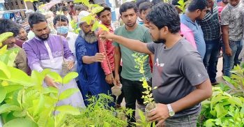 বেনাপোলে সীমান্ত হেল্প ফাউন্ডেশন এর উদ্যোগে ৬শ’ পিস গাছের চারা বিতরণ