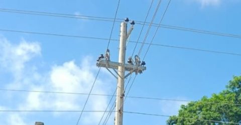 রাঙ্গাবালীতে পল্লী বিদ্যুতের কাজে বাগড়া, সিন্ডিকেটের দাপট