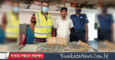 বেনাপোলে ভারতীয় গাঁজাসহ আটক ১