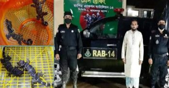 অর্ধকোটি টাকা মূল্যের ৪টি তক্ষকসহ পাচারকারী আটক