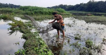 ঝিনাইদহের কুমার নদে নিষিদ্ধ চায়না জাল দিয়ে মাছ শিকার