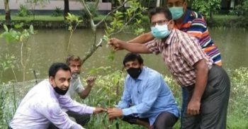 গলাচিপায় বৃক্ষরোপন কর্মসূচির উদ্বোধন