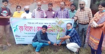 ছায়াবৃক্ষের দেশি জাতের গাছের চারা রোপন