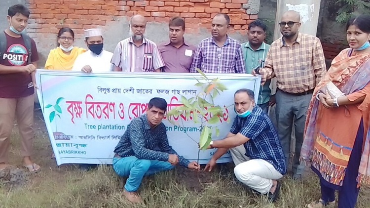 ছায়াবৃক্ষের দেশি জাতের গাছের চারা রোপন