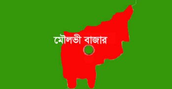 মৌলভীবাজারে ছোট ভাইয়ের হাতে বড় ভাই খুন