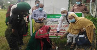 সাপাহারে পরিবেশের ভারসাম্য রক্ষার্থে তাল গাছের চারা রোপন