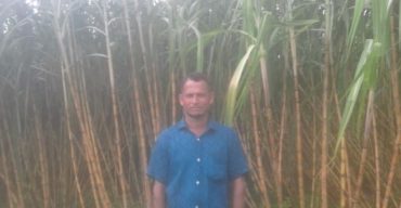 গলাচিপায় আখ চাষে বাম্পার ফলন