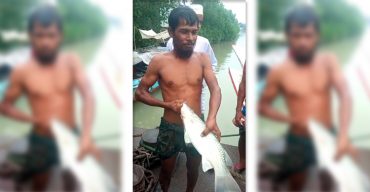 জেলেদের জালে নয়, পলিথিনে আটকা পড়েছে দুই কেজি ওজনের খরসুল মাছ