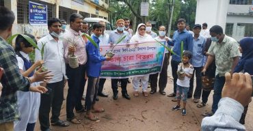 আমতলীতে শেখ রাসেলের জন্মদিনে তাল গাছের চারা বিতরণ