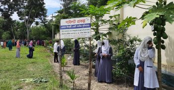 সাড়া ফেলেছে ‘বঙ্গবন্ধু কৃষি বাংলা মডেল’