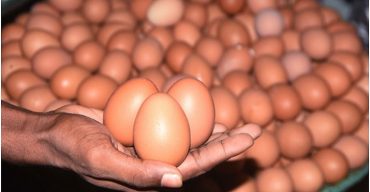 আজ বিশ্ব ডিম দিবস