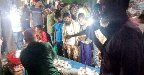 কলাপাড়ায় মাইকিং করে বিক্রি করছে ইলিশ
