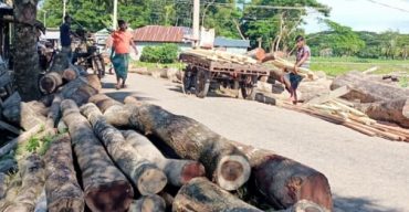সড়ক দখল করে চলছে অবৈধ স-মিল