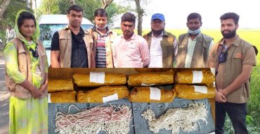 ঝিনাইদহে পাচারের সময় ৬ কেজি রূপাসহ আটক ১