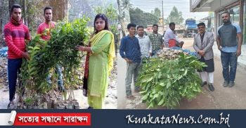 সবুজ আন্দোলন পঞ্চগড় জেলা শাখার উদ্যোগে গাছের চারা বিতরণ