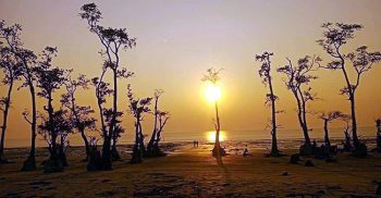 দক্ষিণে সাগরের কোলঘেঁষা এক জনপদ: সূর্যোদয় দেখার আকর্ষণীয় স্পট গঙ্গামতি