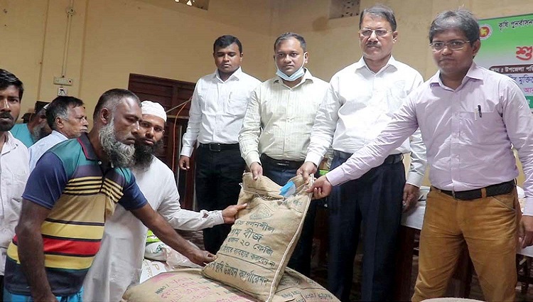 কলাপাড়ায় কৃষকদের মাঝে বিনামূল্যে বীজ ও সার বিতরণ