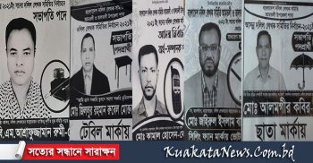 আগামীকাল আমতলীতে দলিল লেখক সমিতির নির্বাচন
